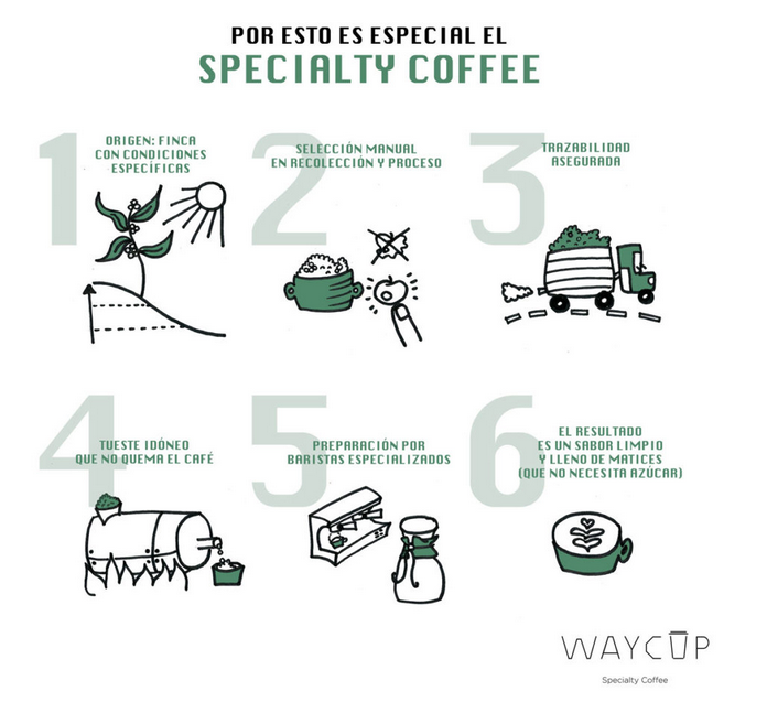 Café de Especialidad, esquema