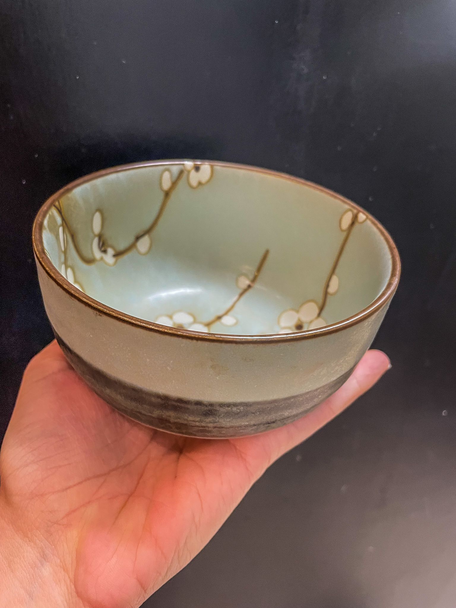 Imagen de Bowl Cerezo claro